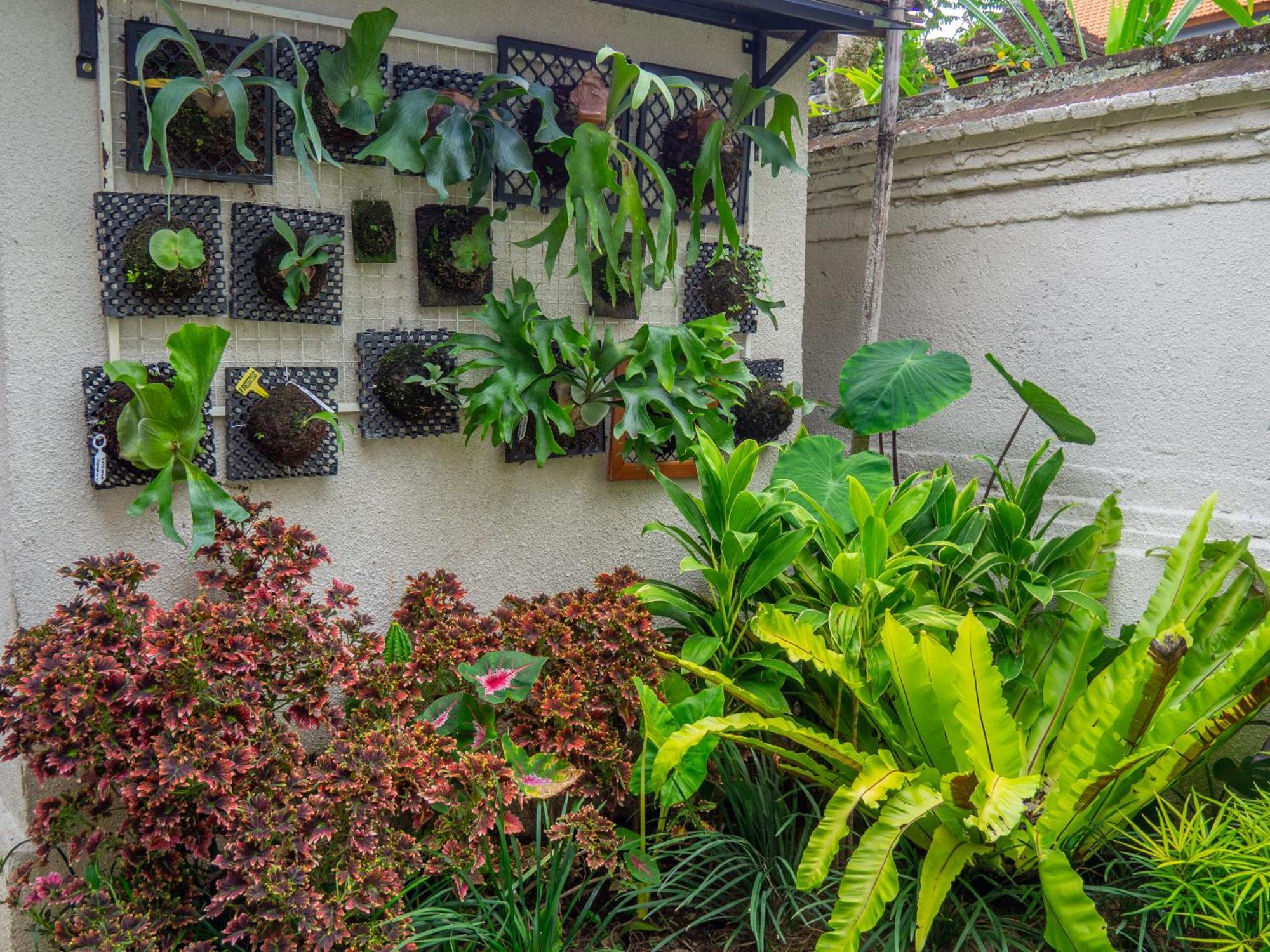 Arumasta Ubud Eksteriør bilde
